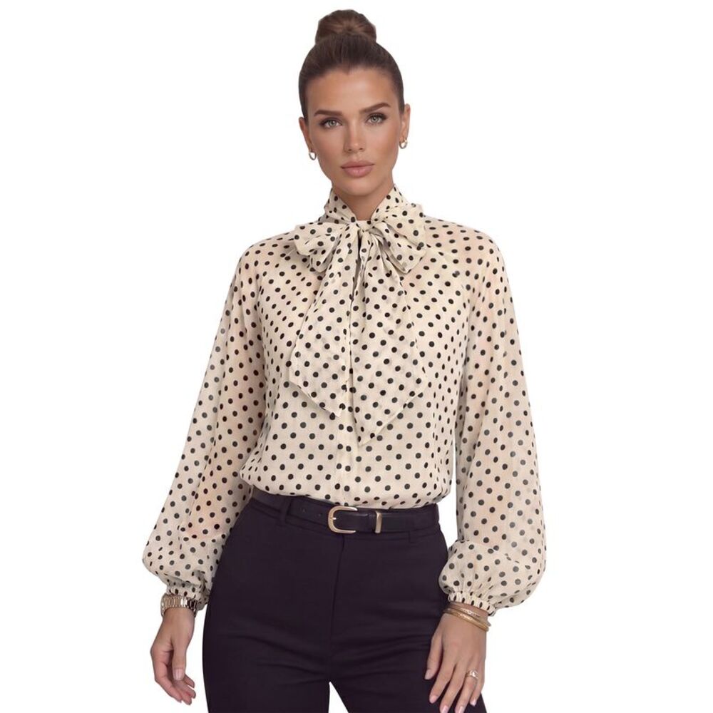Women's Polka Dot Chiffon Blouse Neck Puff Oversized Flowy Vintage Top White